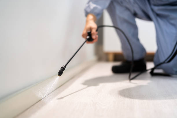 Licensed Bed Bug Control service in Silver Ridge, NJ - Nex Pest Control
