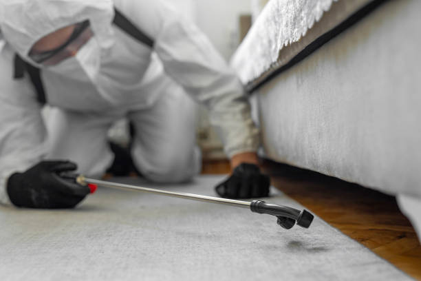 Professional Bed Bug Control technician working in Silver Ridge, NJ