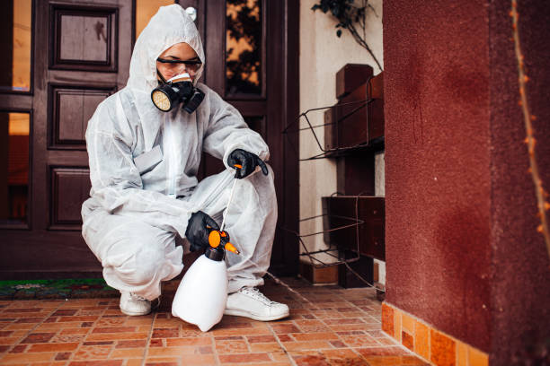 Reliable Bed Bug Control contractor in Silver Ridge, NJ by Nex Pest Control