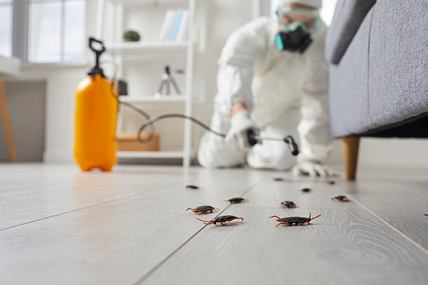 Affordable Bed Bug Control solutions in Silver Ridge, NJ