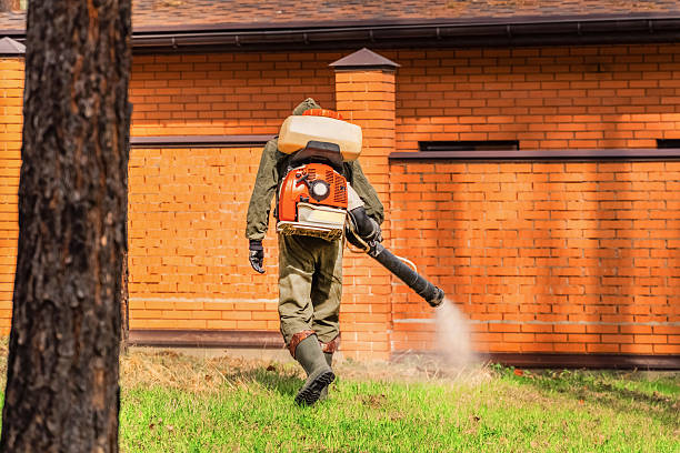 Top rated local Bed Bug Control specialists in Silver Ridge, NJ
